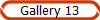 Gallery 13