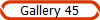Gallery 45